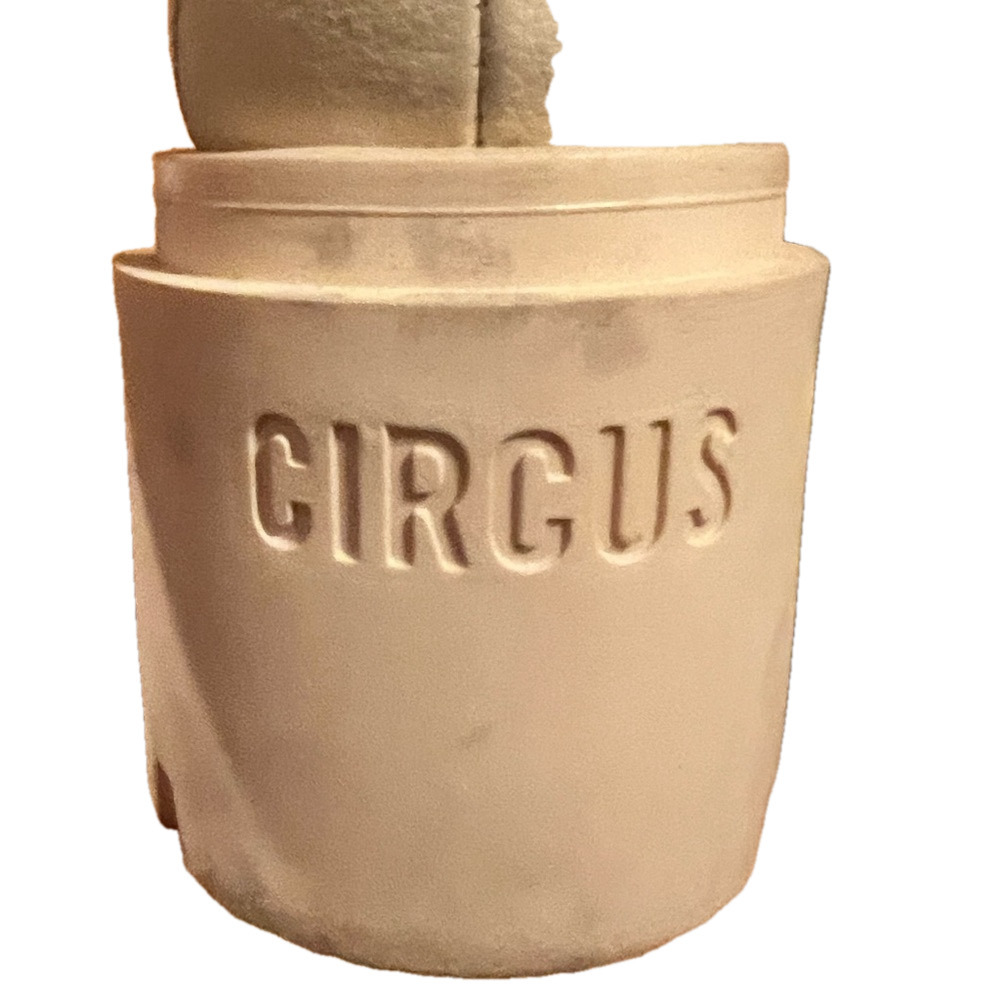 CIRCUS by SAM EDLEMAN boots - Picture 4 of 6